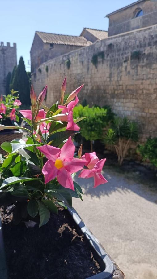 La Torre Apartment Tarquinia Luaran gambar